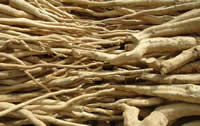 Tongkat Ali