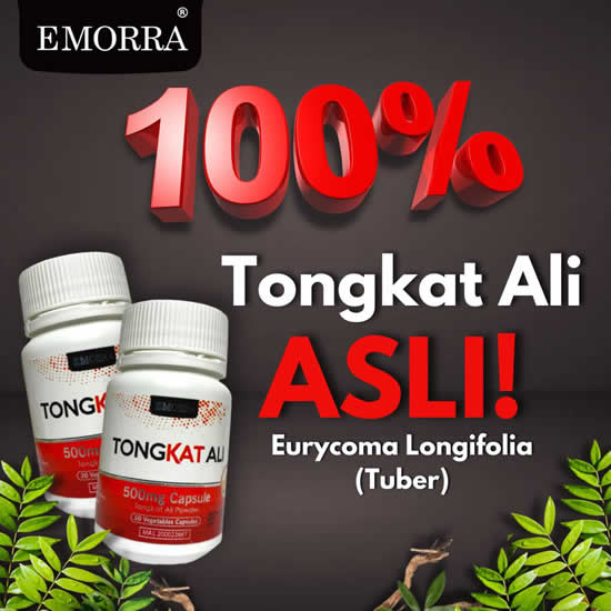 Tongkat Ali 100% Asli